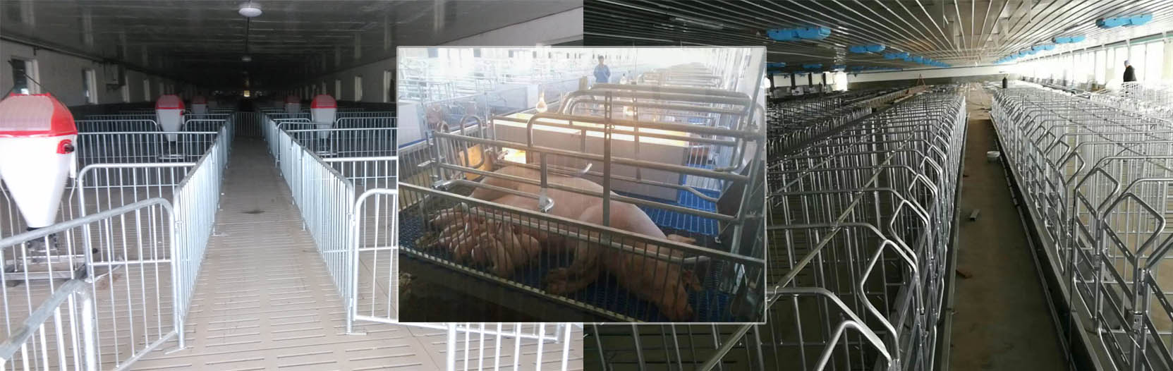 濟(jì)寧新光真空科技有限公司