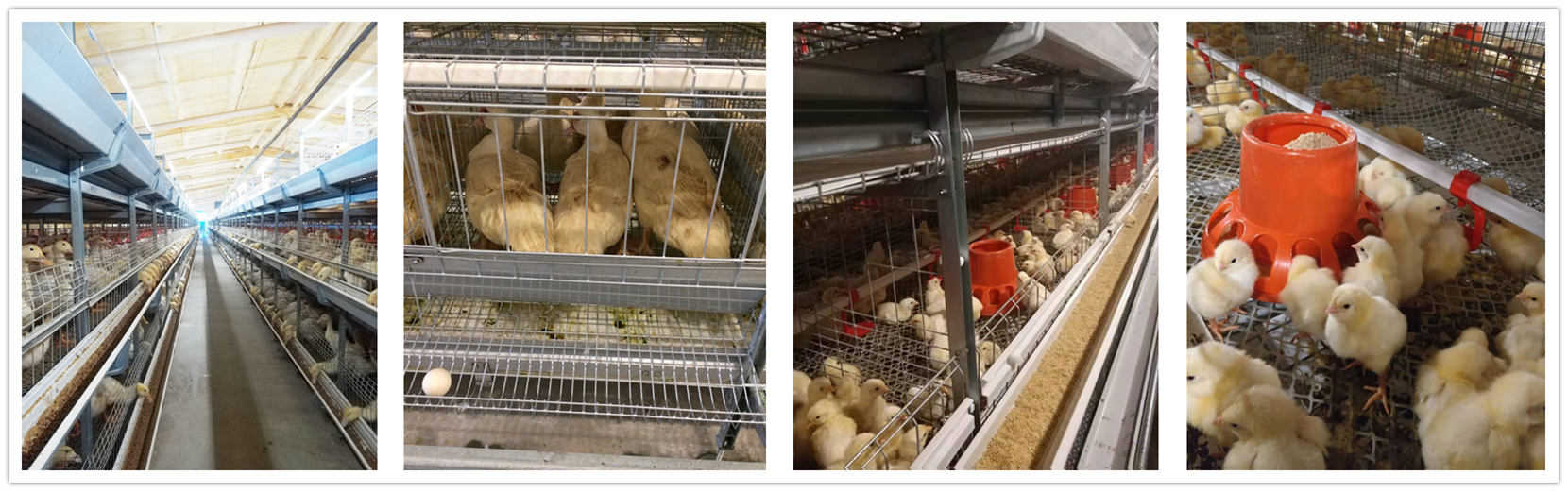 濟(jì)寧新光真空科技有限公司